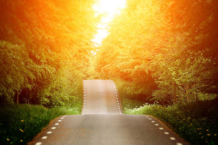 Endless Path-CP104.jpg